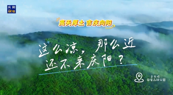 這么涼，那么近，還不來慶陽 ？——“天然氧吧”子午嶺國家森林公園歡迎您來！